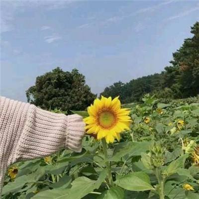 三国剑侠传手游
